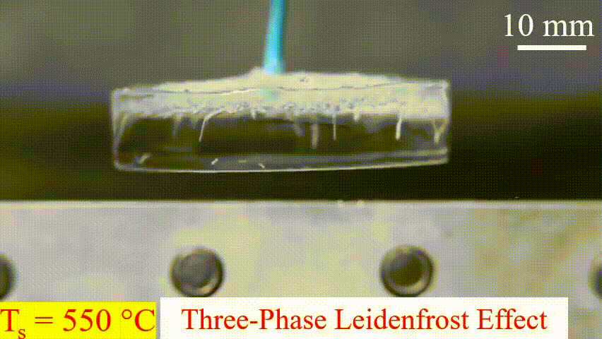 Трифазний ефект Ляйденфроста.&amp;nbsp;Mojtaba Edalatpour at al. / Physical Review Fluids, 2022