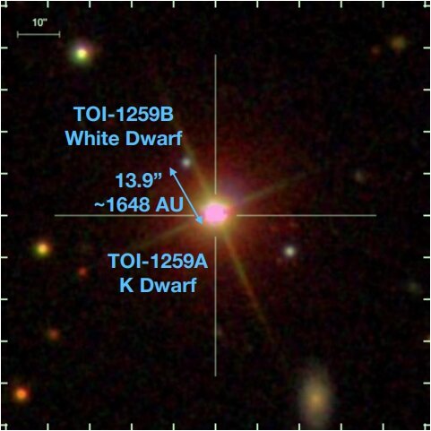 Головна зірка та білий карлик системи. Martin et al.