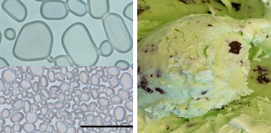 Додавання нанокристалів целюлози запобігає росту дрібних кристалів льоду (внизу ліворуч) у великі (зліва вгорі), які можуть зробити морозиво неприємно хрустким. Tao Wu