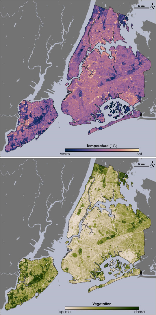 Порівняння супутникових зображень Нью-Йорка, де згори температура міста, а внизу — кількість рослинності. Тут добре видно, що там, де рослинності більше, температура нижча. NASA / Wikimedia Commons