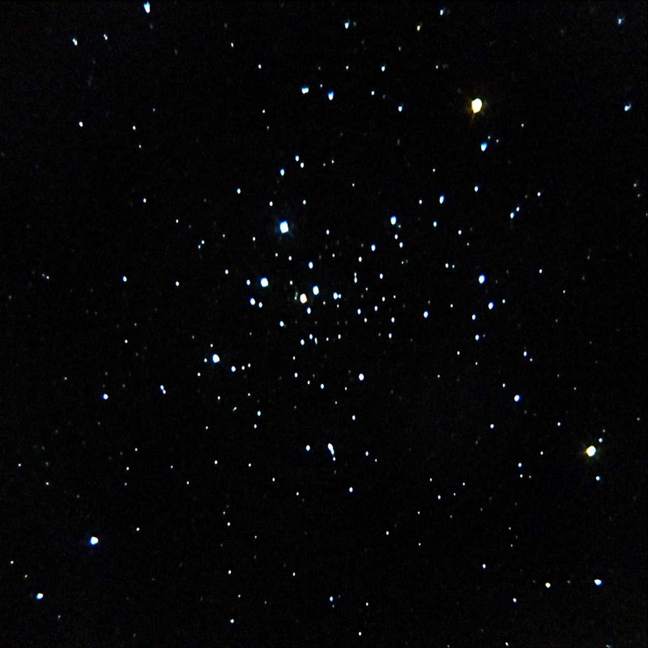 Скупчення NGC 2516. G Furtado / Wikimedia Commons