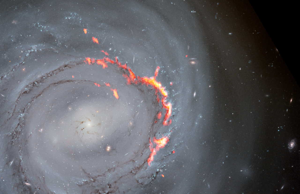 Галактика NGC4921 на знімках ALMA (червоний і помаранчеві кольори) та «Габбла». ALMA (ESO / NAOJ / NRAO) / S. Dagnello (NRAO), NASA / ESA /  Hubble / K. Cook (LLNL), L. Shatz