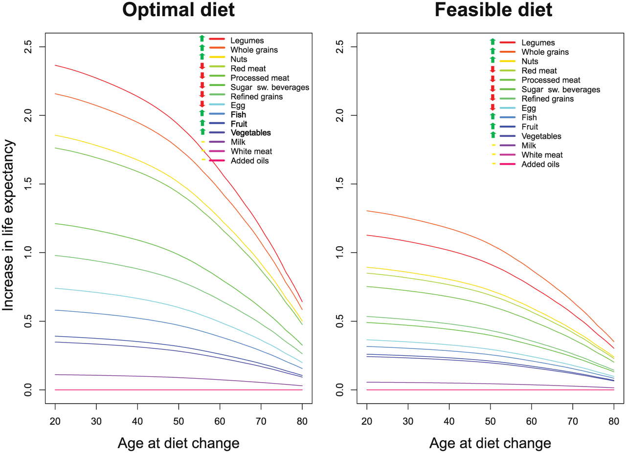 Очікуване збільшення тривалості життя від вживання окремих продуктів при переході на здоровіший раціон у різному віці.&amp;nbsp;Lars T. Fadnes eta al. / PLOS Medicine, 2022