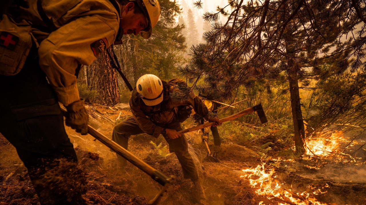 Каліфорнійські пожежники борються з вогнем поблизу озеро Тахо.&amp;nbsp;Max Whittaker / NYT / Redux / eyevine