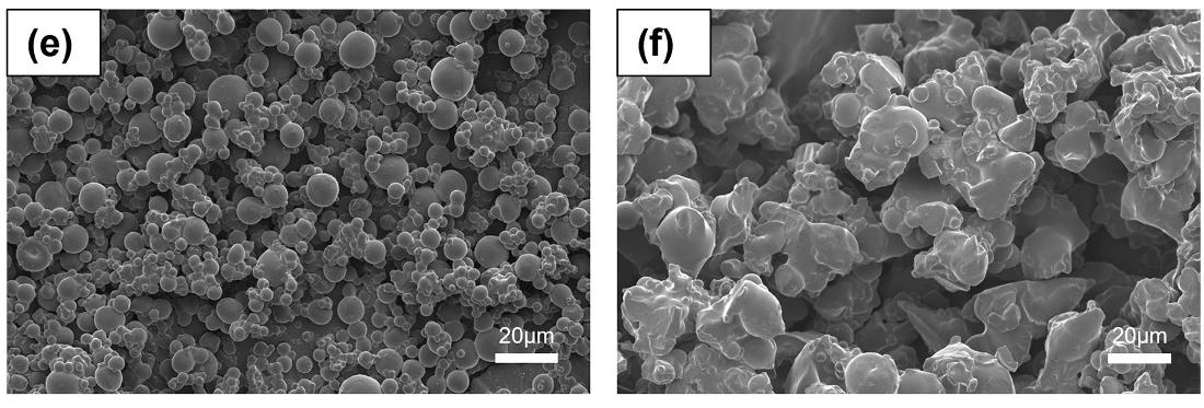 Зображення отриманих порошків зі сканувального електронного мікроскопа: e) пряма схема, f) обернена схема. Li Ling Tan / Carbohydrate Polymers, 2022