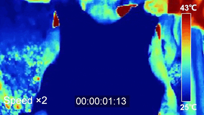Теплове зображення добровольця у жилеті, де зліва на ньому метатканина. Shaoning Zeng et al. / Science, 2021