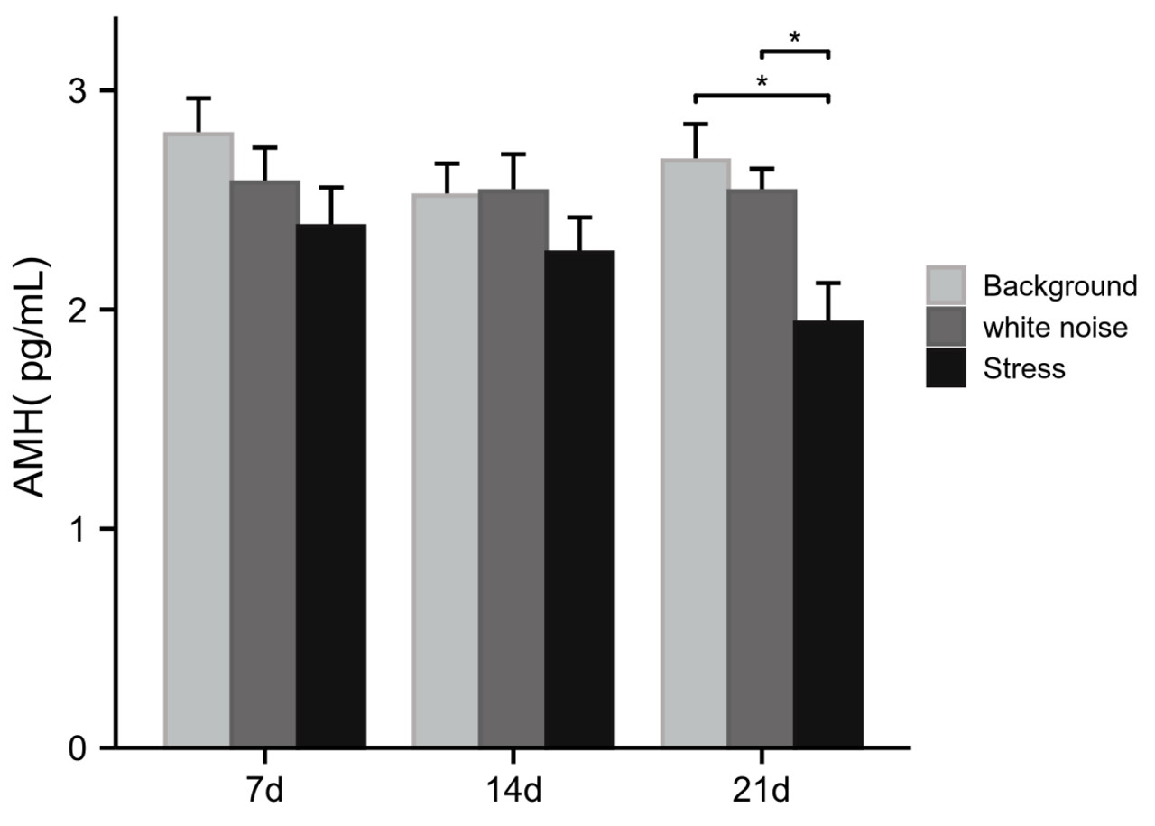 Рівень антимюлеррового гормону у пацюків на 7, 14 та 21 день експерименту.&amp;nbsp;Wenyan Xi et al. /&amp;nbsp;Endocrinology, 2022