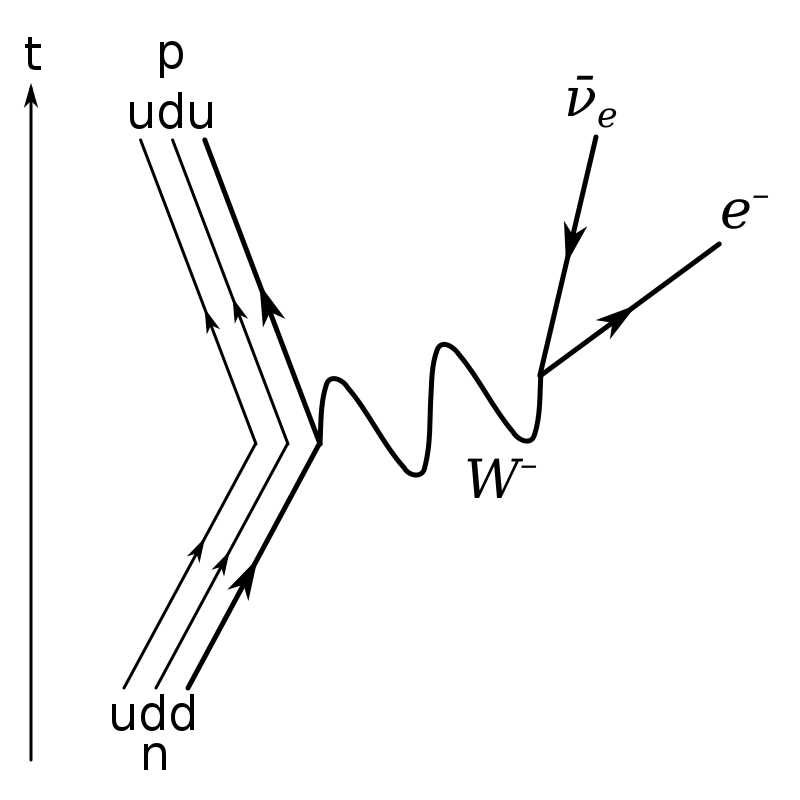 Діаграма Фейнмана для бета-розпаду нейтрона на протон, електрон і антинейтрино за участі віртуального W-бозона/ Joel Holdsworth / Wikimedia Commons