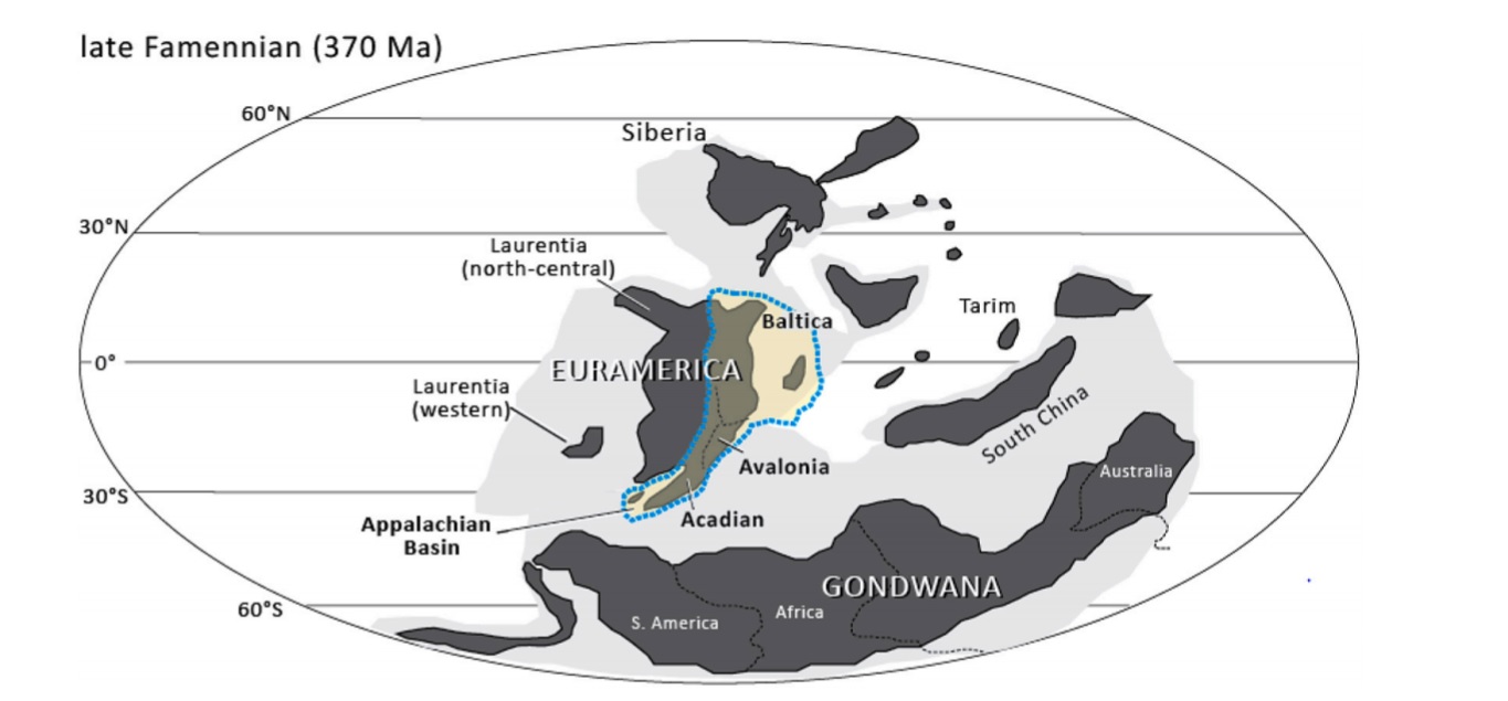 Конфігурація континентів у девонському періоді. Блакитним виділений основний регіон, що вивчався у дослідженні. Man Lu et al.