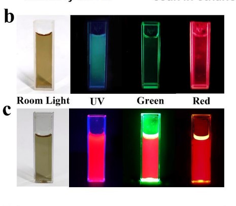 Зразки з водного розчину (b) та дихлорометану (c) у різному світлі Jun Liu at al. / Advanced Materials, 2022