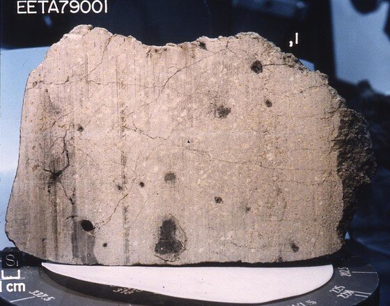 Один з досліджуваних марсіанських метеоритів, Elephant Moraine (EETA) 79001. NASA / JSC