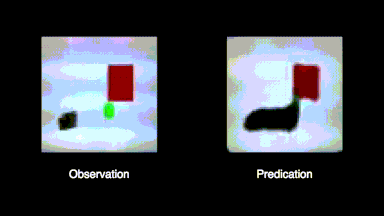 Робот-спостерігач бачить відео з лівого боку та передбачає поведінку робота-актора, показаного праворуч. Creative Machines Lab/Columbia Engineering