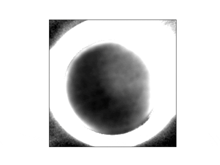 Темна сторона Плутона, оточена яскравим кільцем сонячного світла, розсіяного серпанком в його атмосфері. Дослідники з команди New Horizons змогли створити це зображення, використовуючи 360 знімків камери LORRI. На фото  —  плутонова «зима» / NASA / Johns Hopkins APL / Southwest Research Institute / NOIRLab