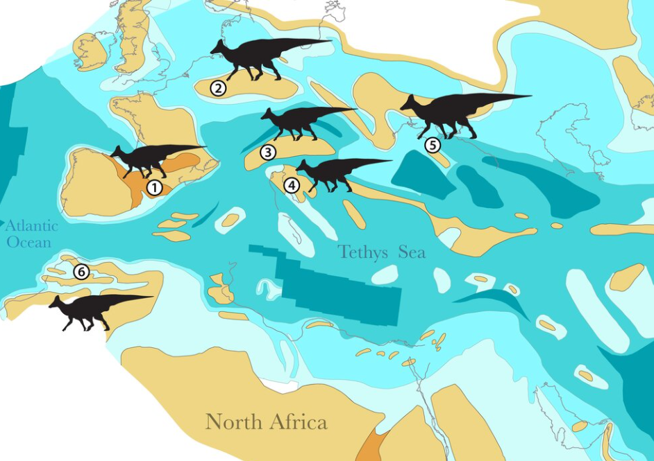Розповсюдження гадрозаврів у крейдовому періоді.&amp;nbsp; Nicholas R.Longrich et al /&amp;nbsp;Cretaceous Research