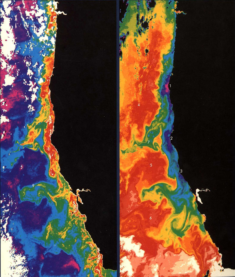 Супутникові температурні знімки узбережжя Каліфорнії. Victor Klemas