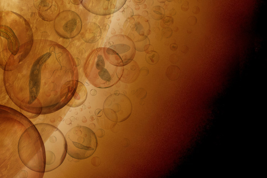 Уявлення художника про повітряну біосферу в шарах хмар на Венері. Гіпотетичне мікробне життя знаходиться всередині захисних частинок хмар і розноситься вітрами по всій планеті / J. Petkowska
