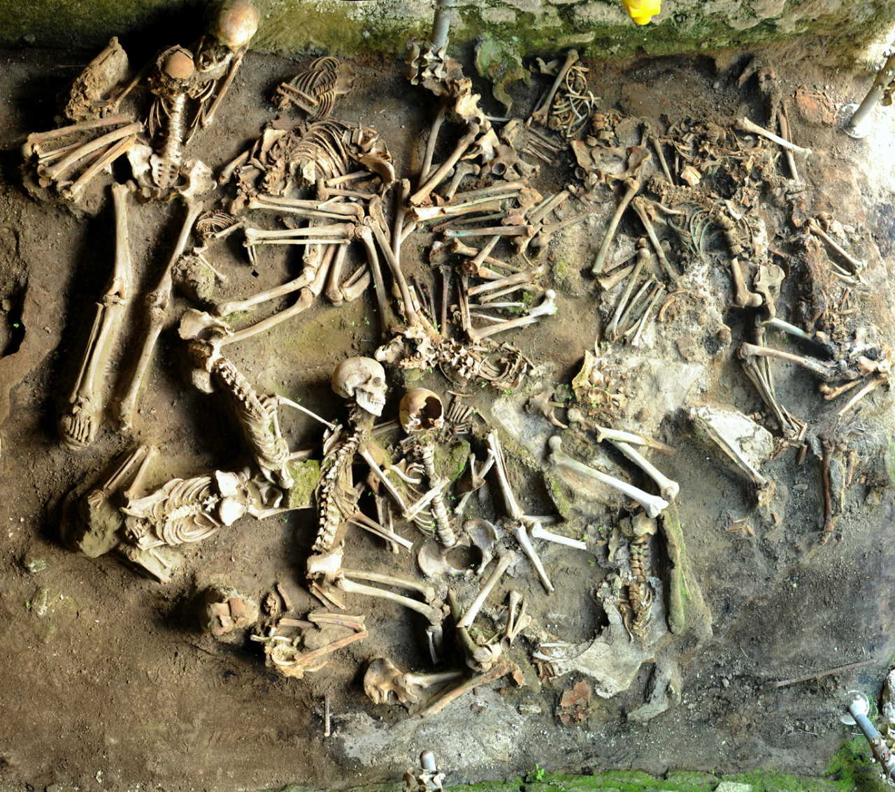 Скелети людей, знайдені на місці колишнього Геркуланума. Silvia Soncin et al. / Science Advances, 2021