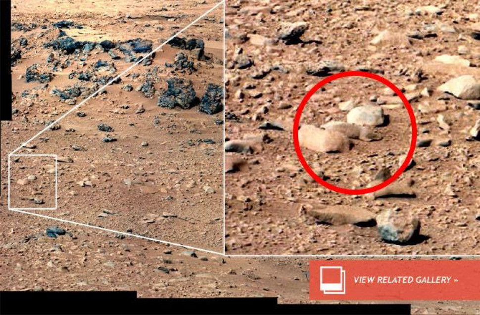 Серед інших «тварин», помічених на марсіанських світлинах «К'юріосіті», і цей «щур», що також є лише каменем. Добре помітно, що він лежить в оточенні таких самих валунів. Фото було зроблене у вересні 2012 року. NASA, JPL-Caltech, MSSS /  NASA Science Mars Exploration Program