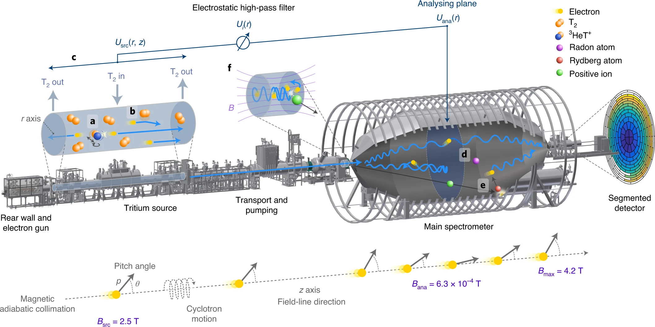 Схема установки KATRIN, де зображене джерело тритію, атоми якого піддаються бета-розпаду на гелій-3, електрон і електронне антинейтрино. Електрони потрапляють у спектрометр, з яких той обирає з найвищою енергією, щоб вони своєю чергою потрапили у детектор.&amp;nbsp;The KATRIN Collaboration / Nature Physics, 2022
