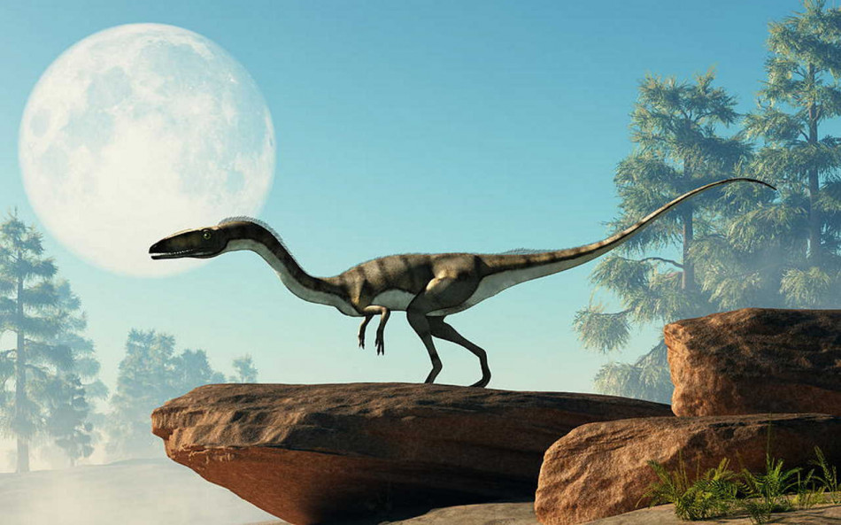Двоногі динозаври під час бігу гойдали хвостом