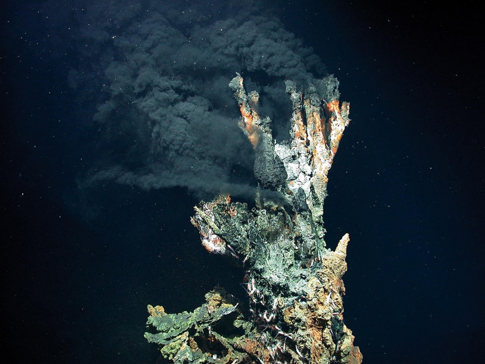 Мікроби з-під морського дна вижили за 120 градусів Цельсія завдяки швидкому метаболізму