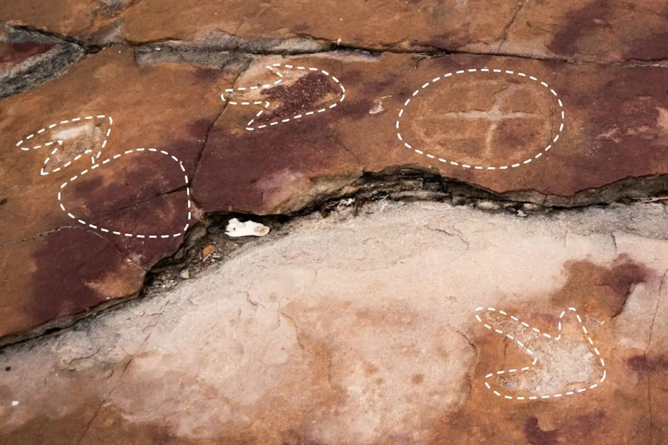 Люди в Бразилії розмалювали скали зі слідами динозаврів 3 000 років тому